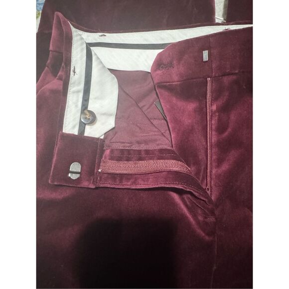 Ann Taylor NWT The Jayne velvet trouser pants 8 - Picture 4 of 9